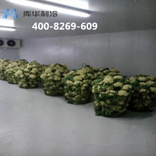 蔬菜冷藏保鮮冷庫