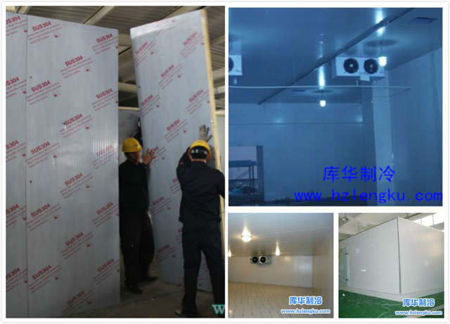 松陽(yáng)疾控中心藥品試劑冷庫(kù)