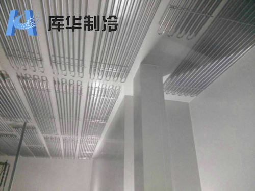 臺(tái)州三門魚肉-20℃低溫冷藏庫建造