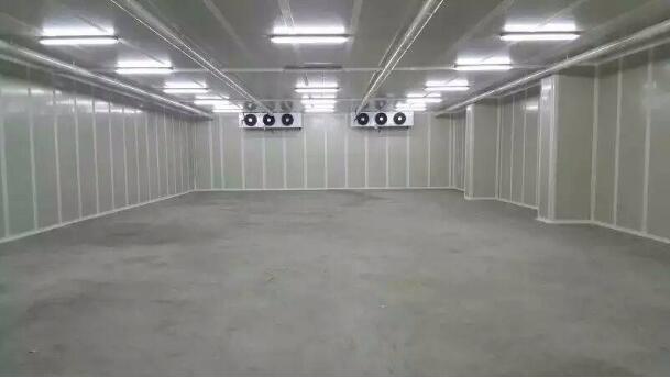 1000噸果蔬冷庫(kù)