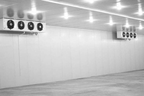 葡萄冷庫儲存保鮮的溫度是多少比較好？