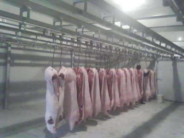 1000噸肉類低溫冷凍庫建造成本需要多少錢？