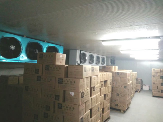 50平方小型冷庫(kù)造價(jià)預(yù)算需要多少錢