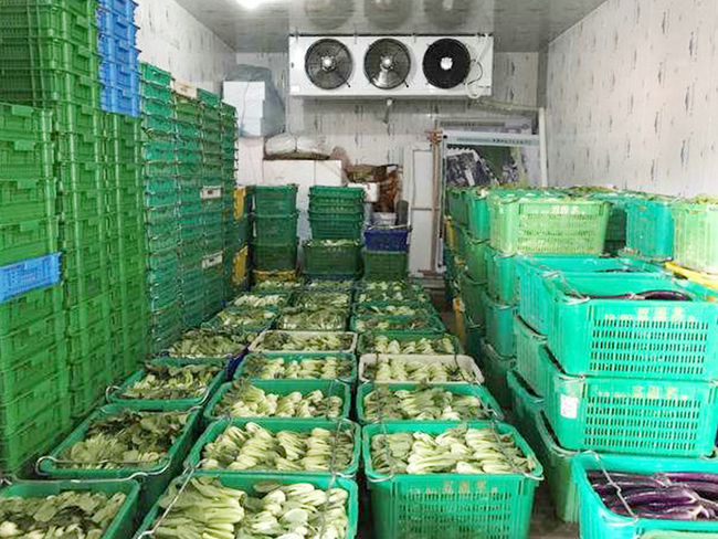 紹興蔬菜保鮮庫(kù)安裝建造