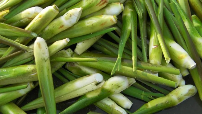 蔬菜冷庫建造溫度 茭白保鮮冷庫存放技術