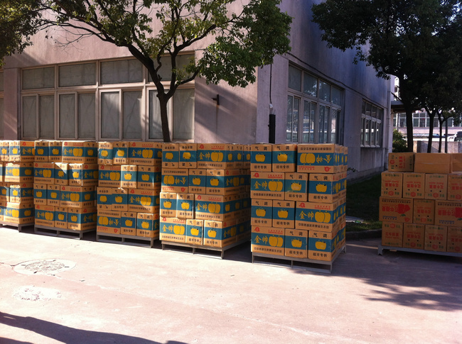 蘋果保鮮冷庫的設(shè)備要求和造價(jià)計(jì)算