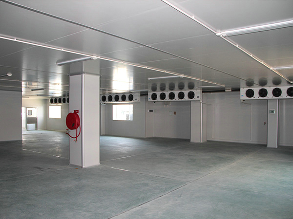 建造一個100平方肉類冷庫要多少錢？