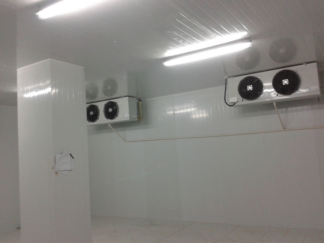 建造20噸冷庫安裝報價大概多少費用？