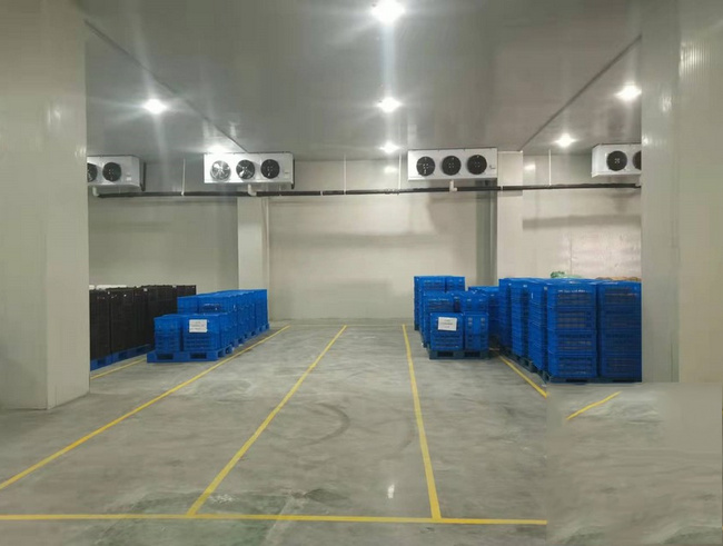 金華建一個水果冷庫需要多少錢？