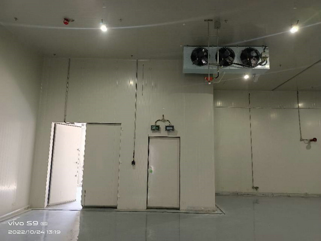 湖州建30噸蔬菜保鮮庫造價要多少錢？