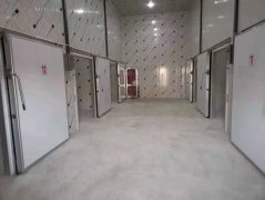 蜜桔怎么保存時(shí)間長(zhǎng)？橘子冷庫(kù)儲(chǔ)存藏保鮮方法